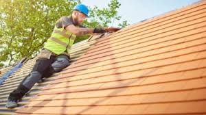 Best Roof Maintenance and Cleaning  in Dumas, AR