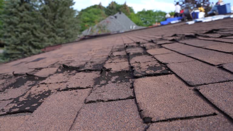 Best Chimney Flashing Repair  in Dumas, AR